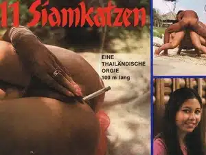 Tabu Film 025 Siamkatzen Vintage Sex Retro Tube Classic Porn